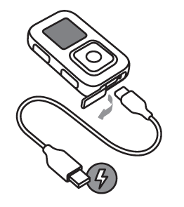 The Remote (ザ リモート) ：使用方法