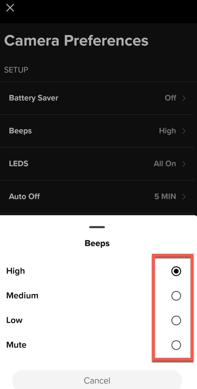LIT HERO: Beeps Information