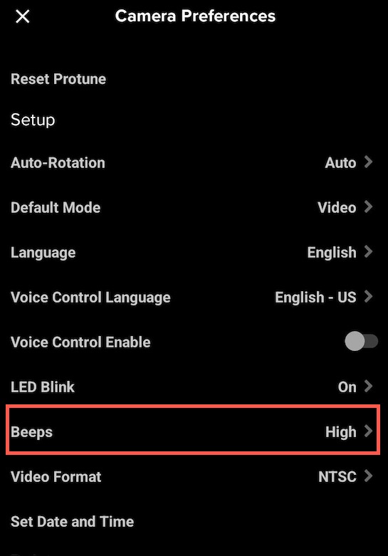 Camera Beeps Are Not Audible